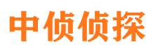 东丰私家侦探公司